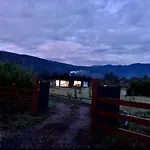 Casa Pucon Palguin