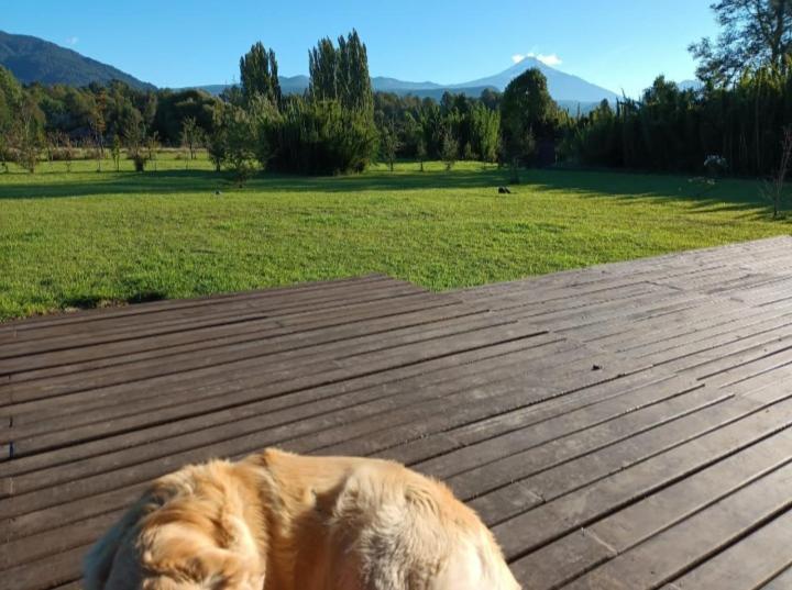 Сasa de vacaciones Casa Palguin *
